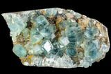Plate Of Green Fluorite Crystals on Quartz - China #112188-1